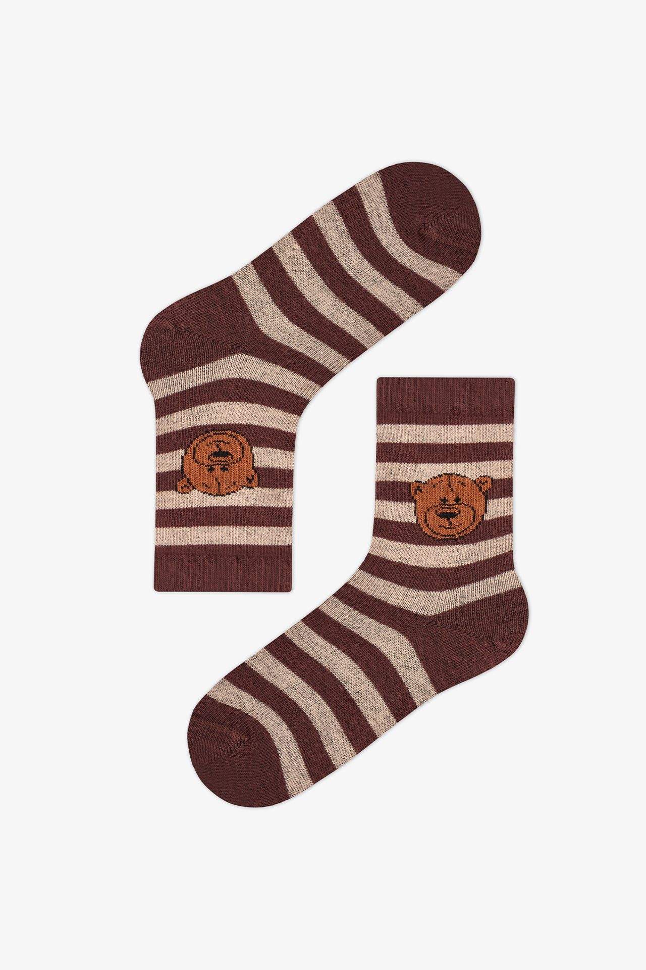 PENTI Boys' Ie Bears Bear Pattern Cotton 2-Pack Crew Socks 3