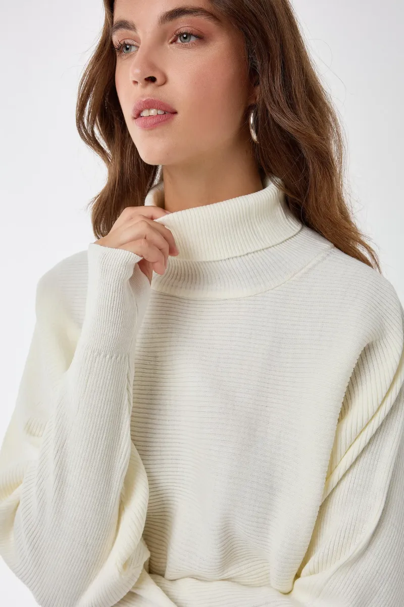 Relaxed Fit Turtleneck Sweater 5