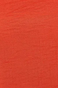 orange-image-4