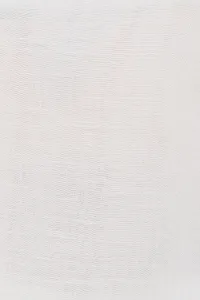 white-image-4