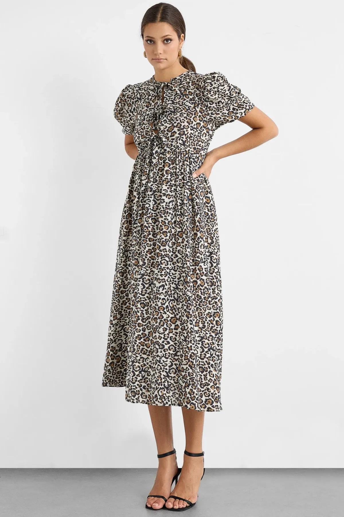 Animal Print Midi Dress 2