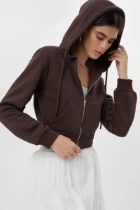 brown-image-1