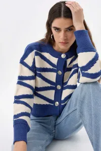 blue-image-3