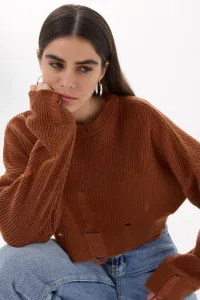 brown-image-1