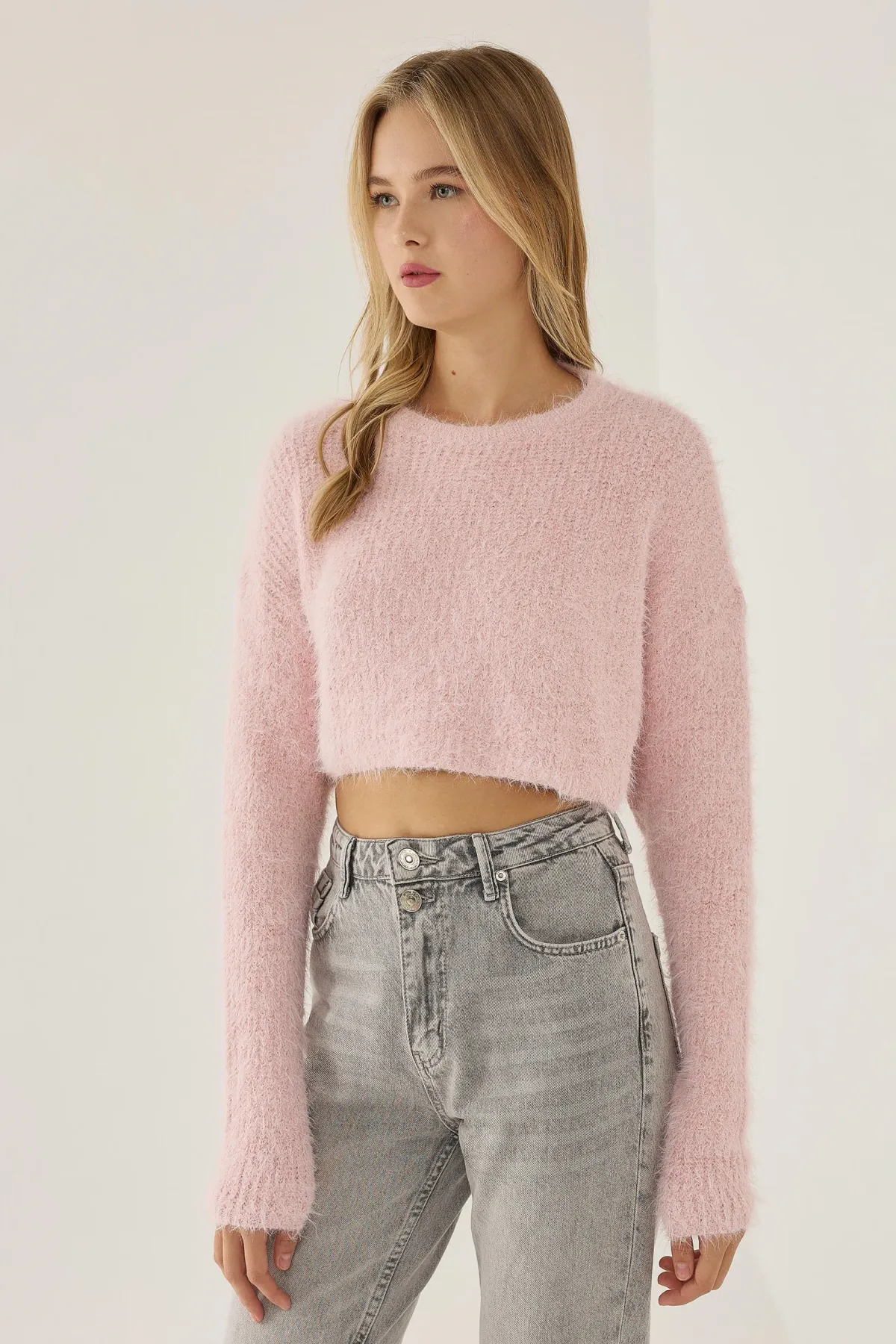 Textured Crop Sweater with Crew Neck 1