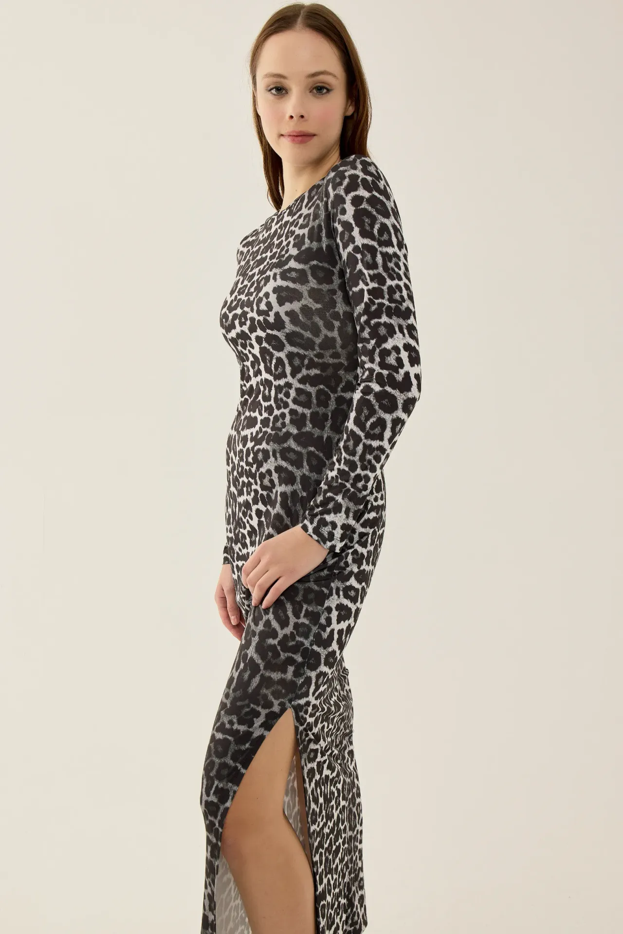 Leopard Print Maxi Dress with Slit