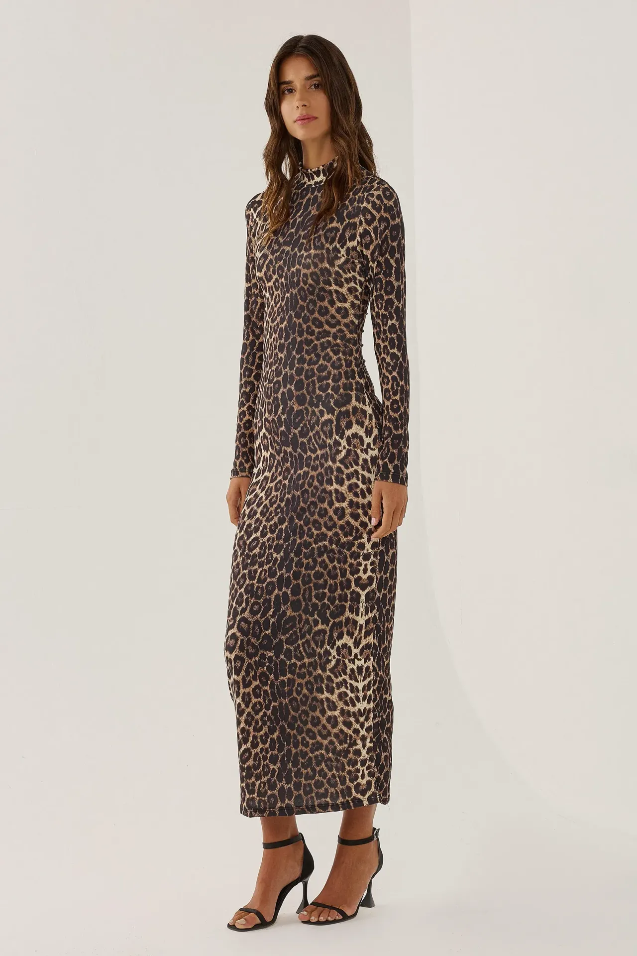 Leopard Print Bodycon Maxi Dress with Long Sleeves