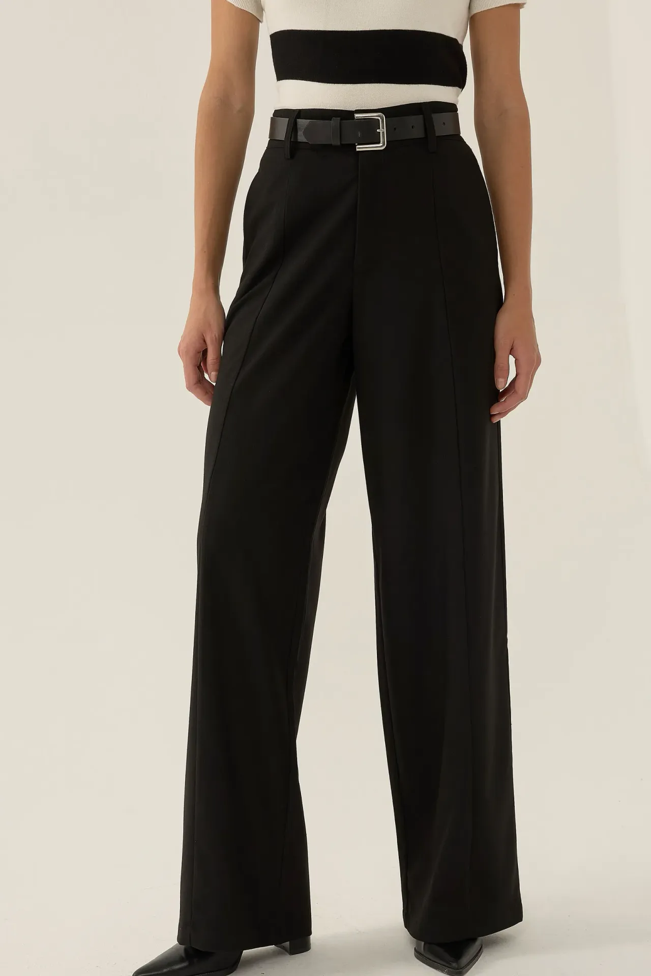 High Waist Wide Leg Pleated Pants