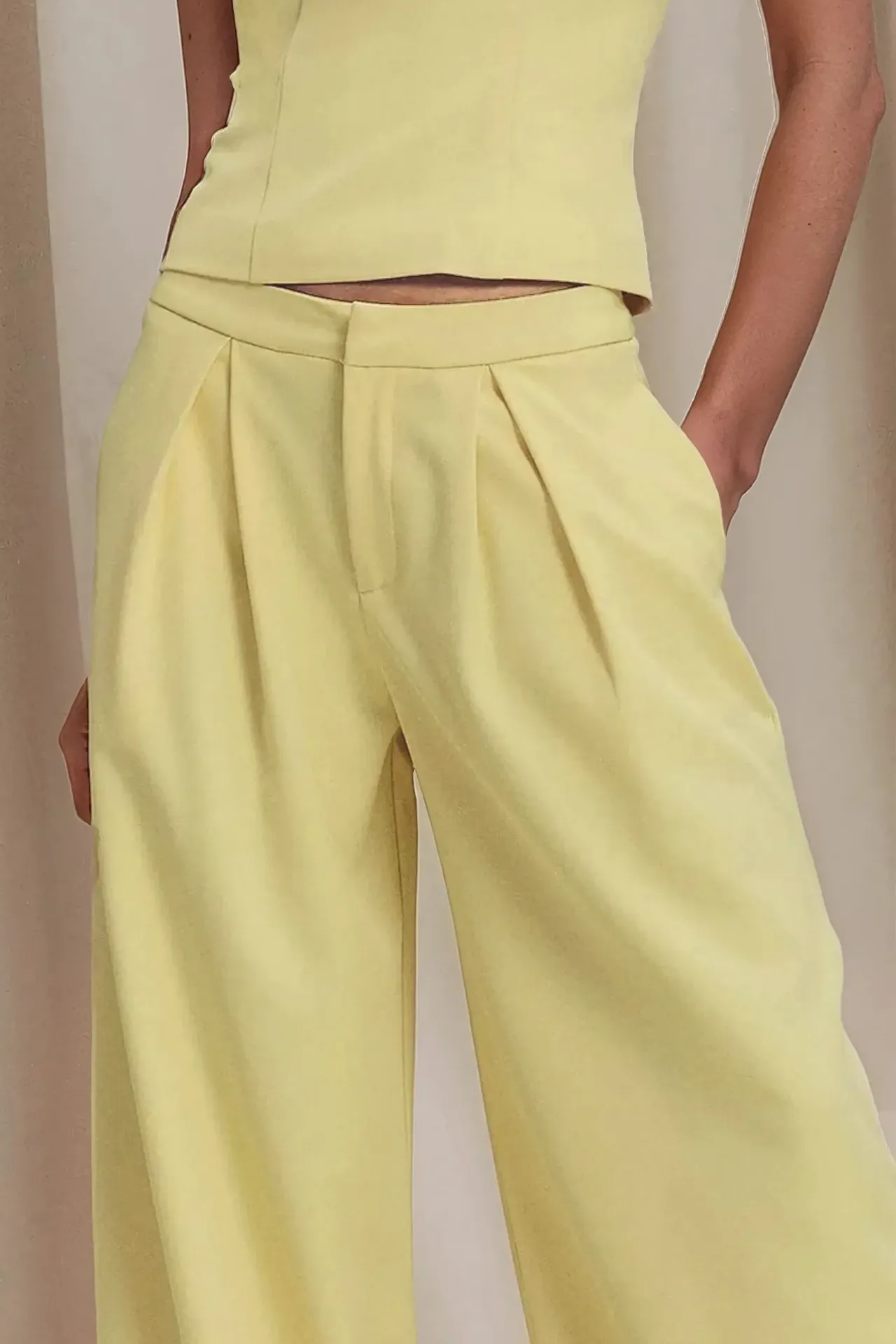 Pleated Wide Leg Long Pants
