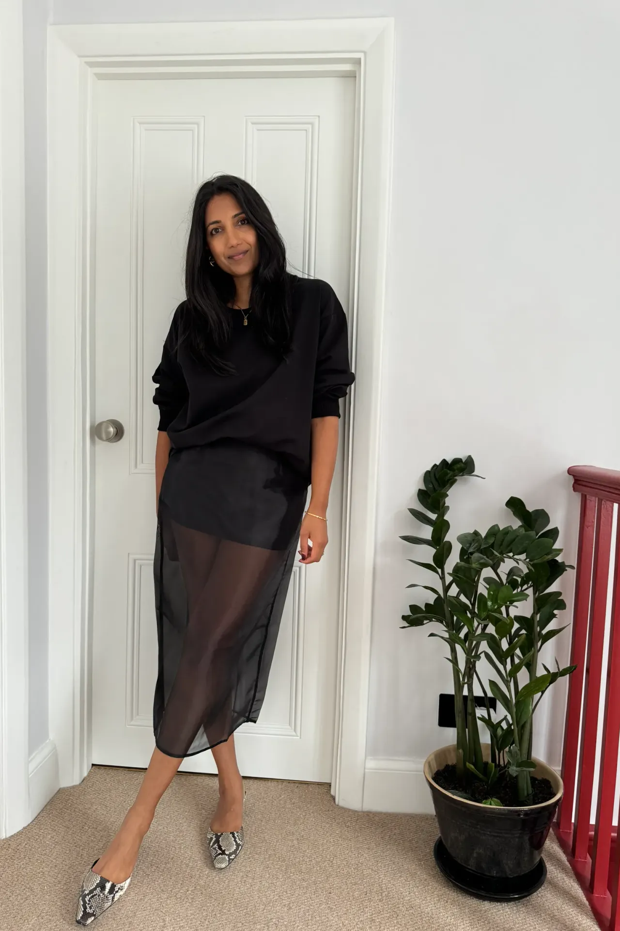 Black Sheer Skirt