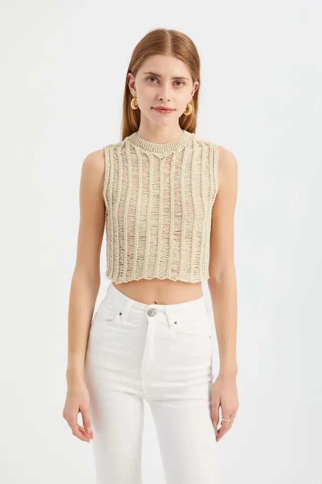 Openwork Crew Neck Knitted Cropped Blouse