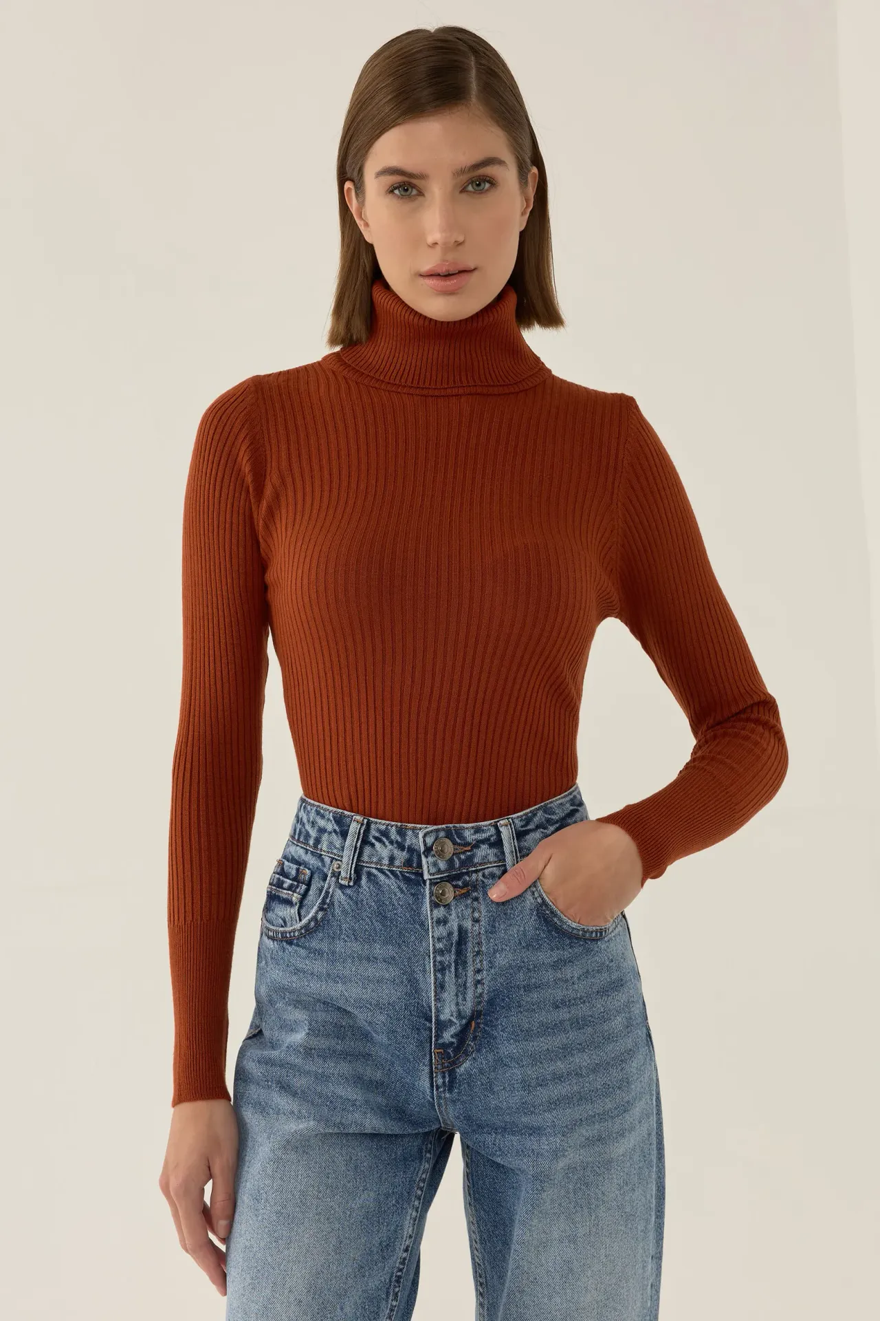 Slim Fit Turtleneck Sweater