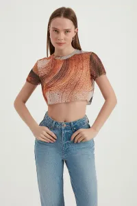 orange-image-0