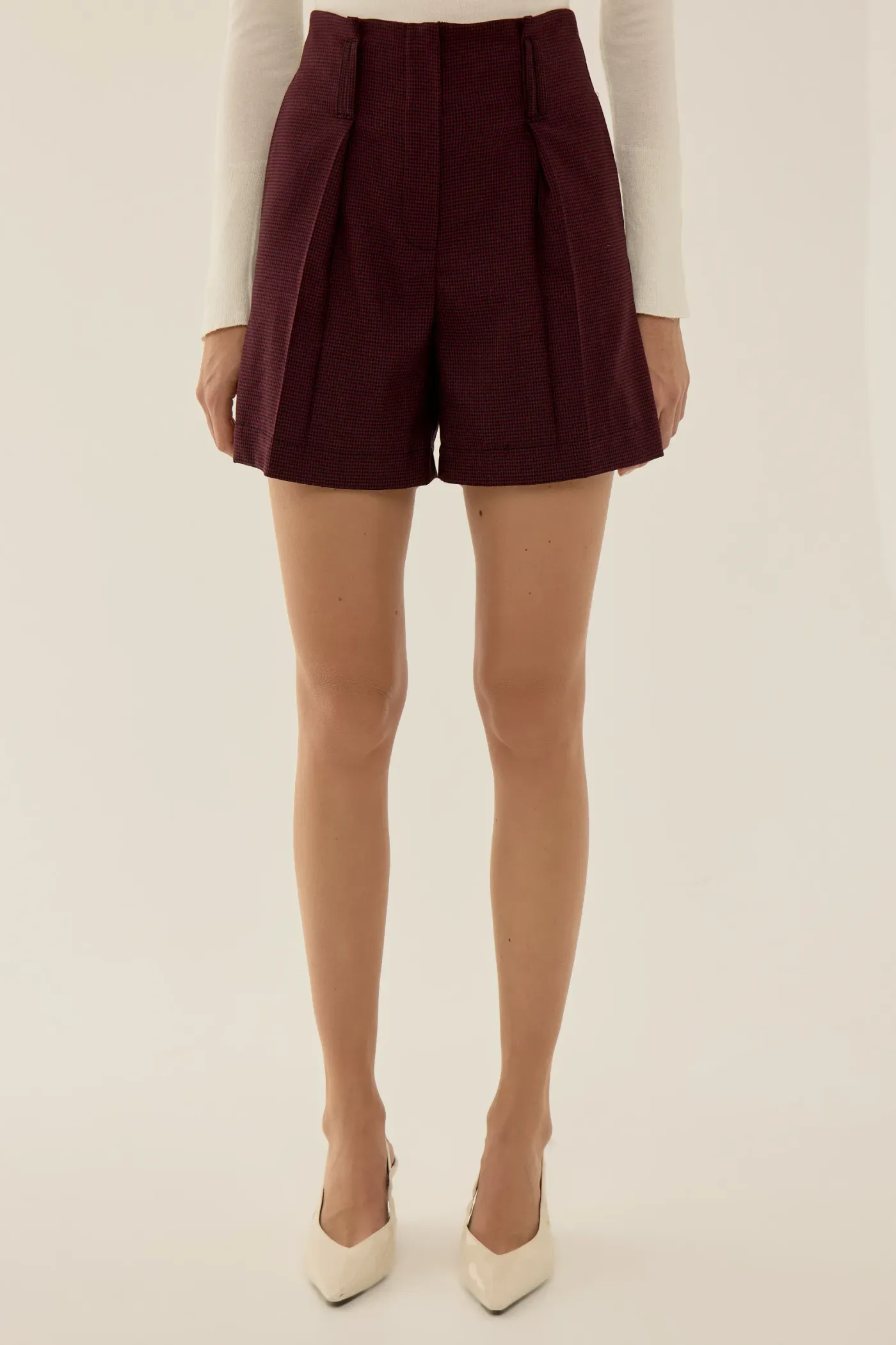 High Waist Mini Shorts 4