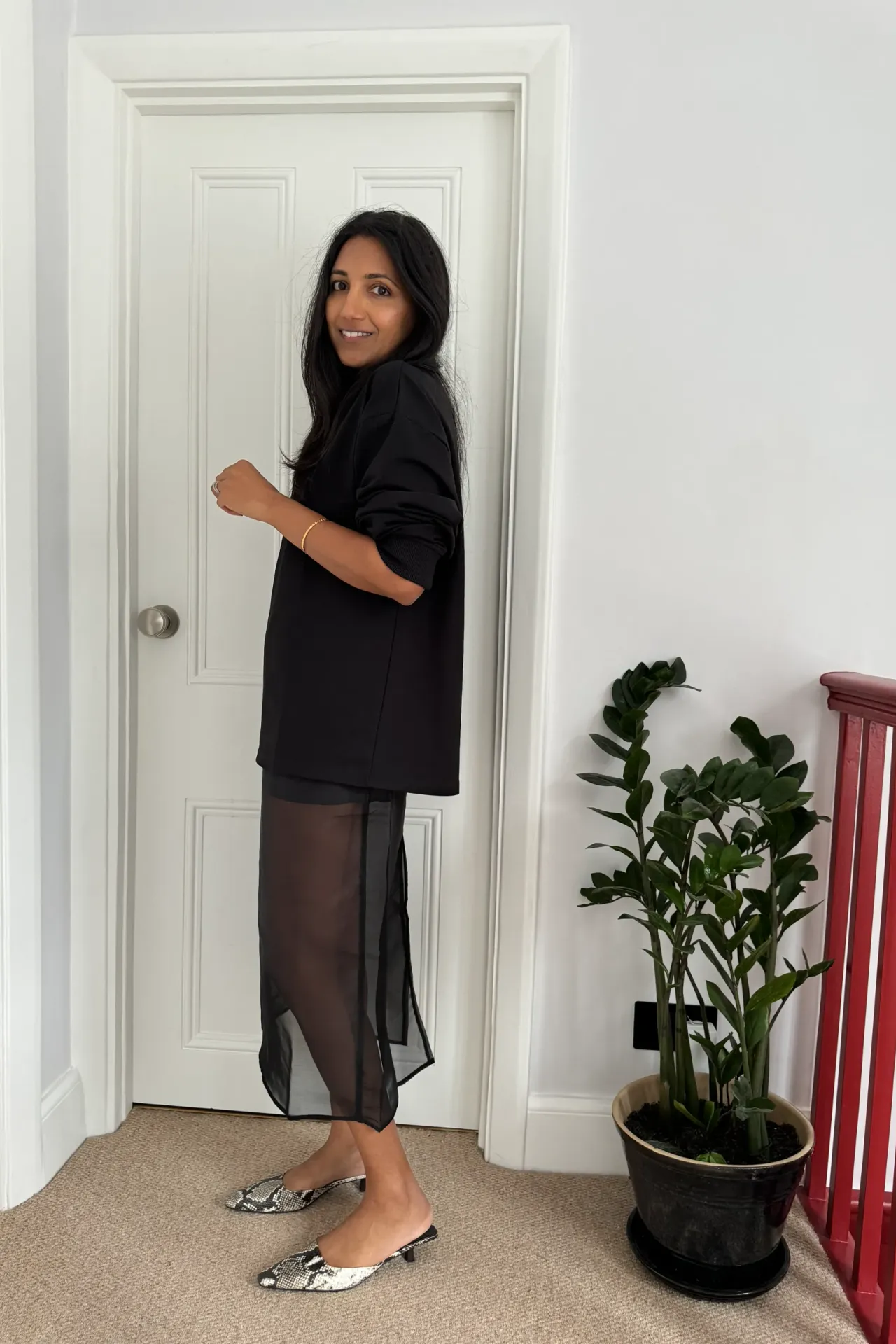 Black Sheer Skirt