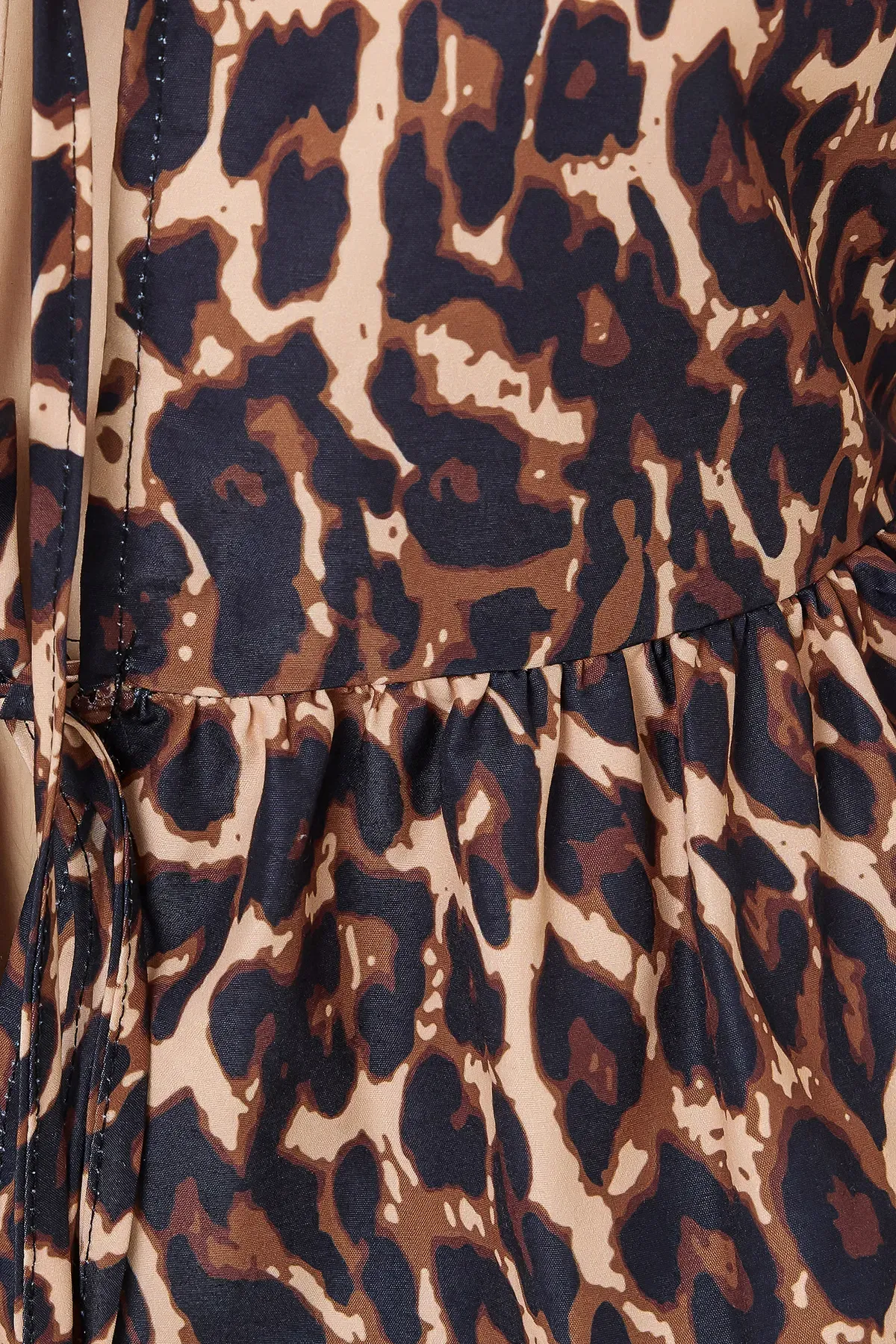 Animal Print Balloon Sleeve Blouse with Tie Front 5