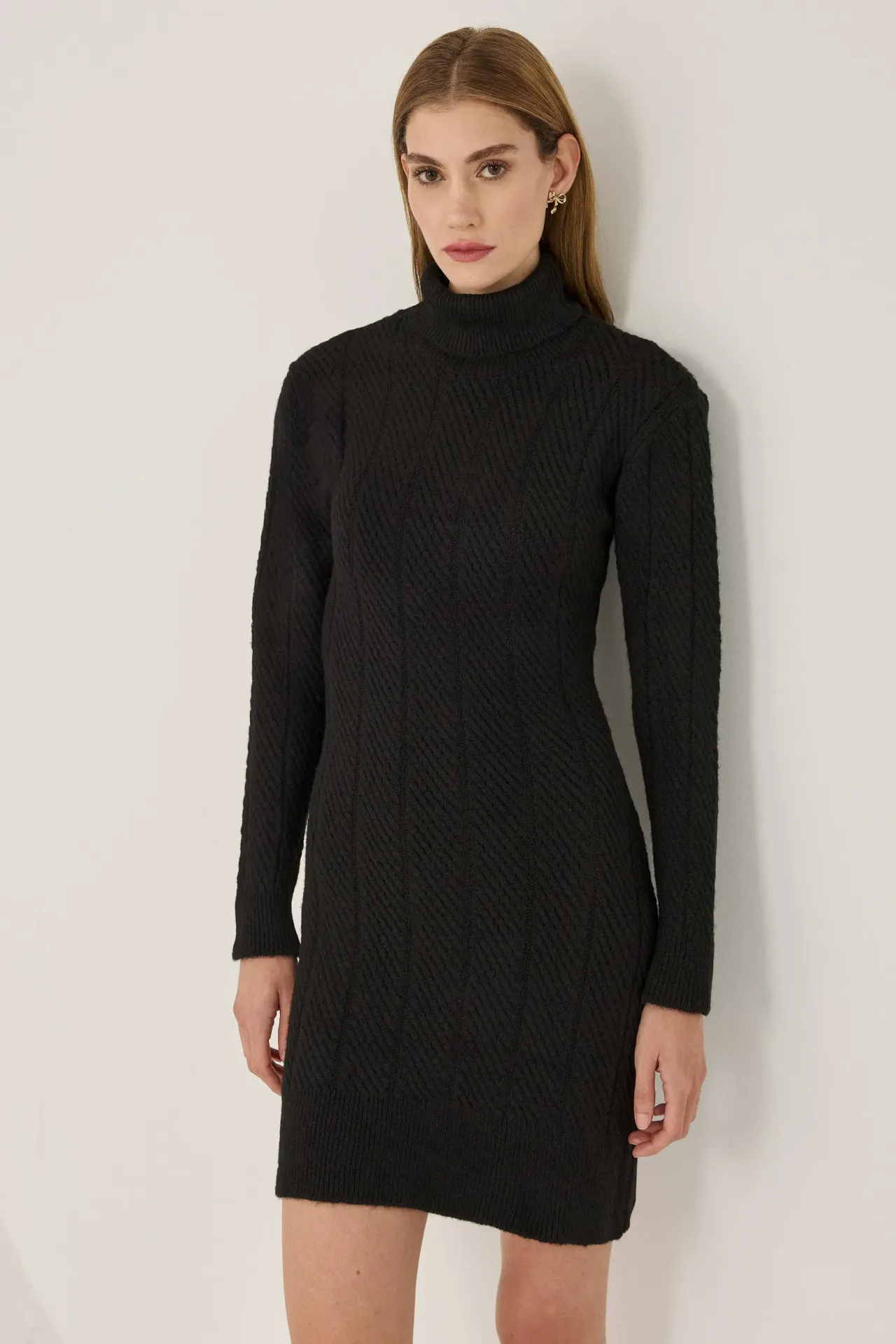 Mini Turtleneck Knit Dress