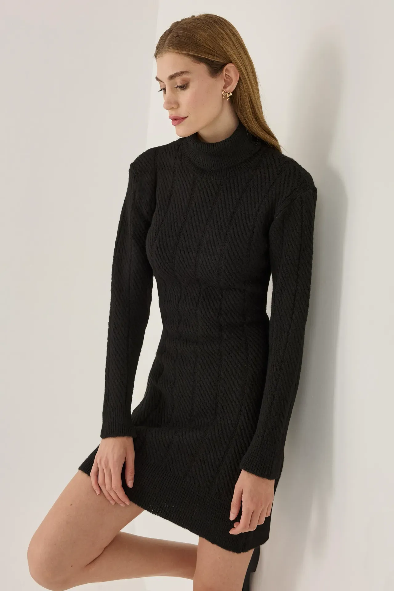 Mini Turtleneck Knit Dress