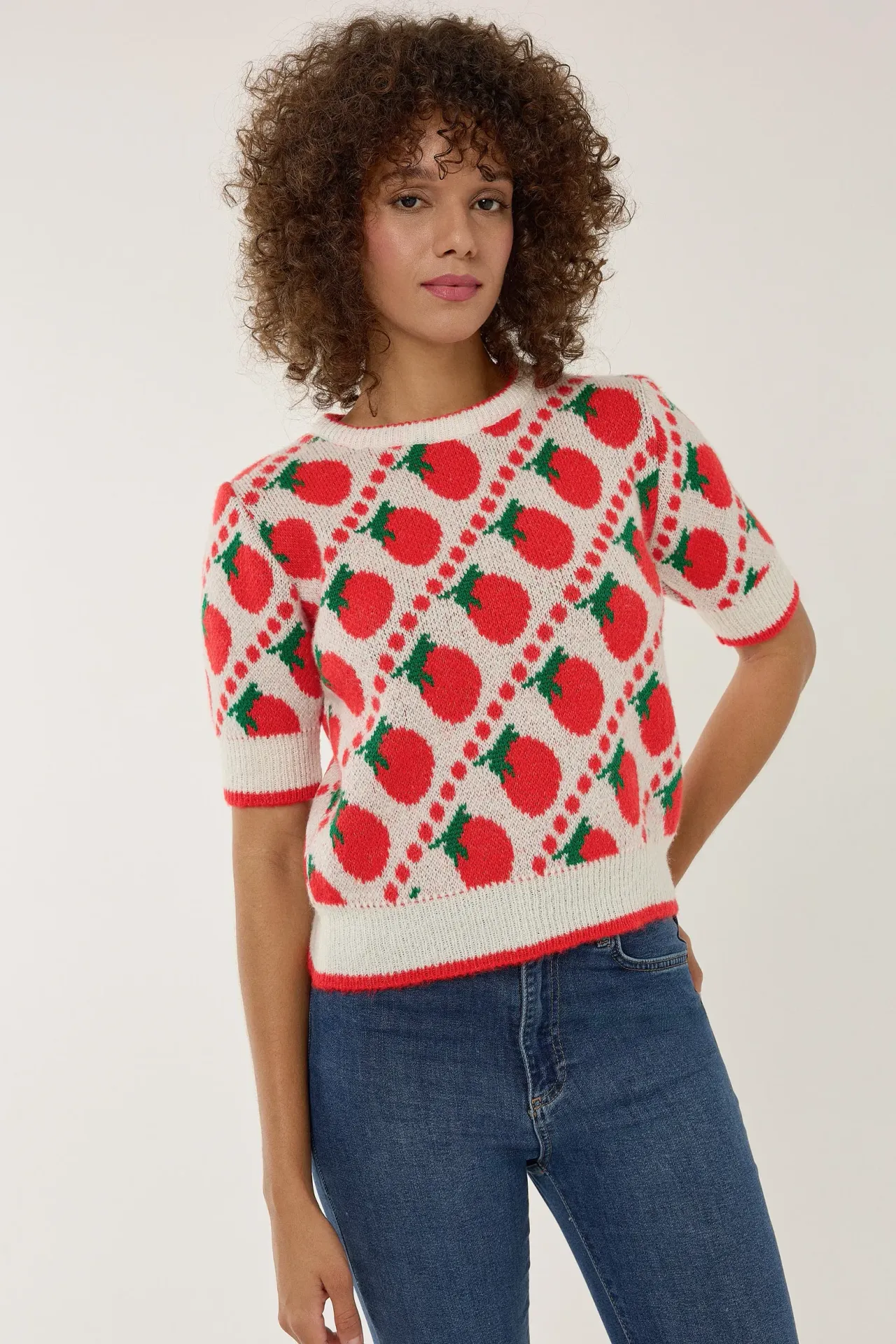 Patterned Short Sleeve Knit Sweater