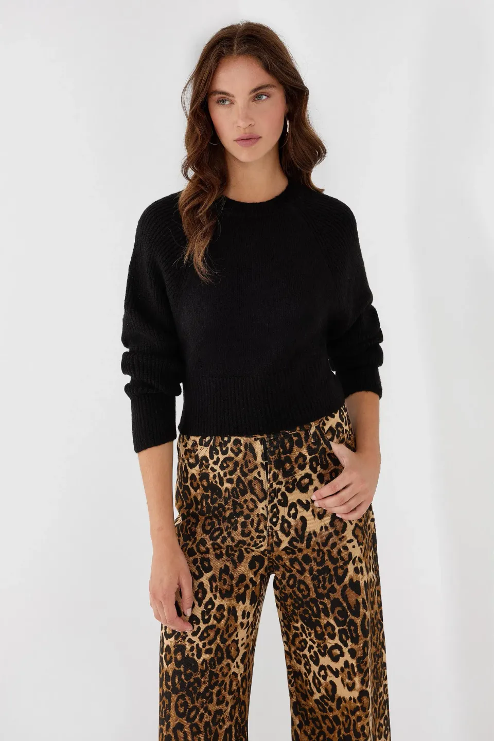 Crew Neck Cropped Sweater