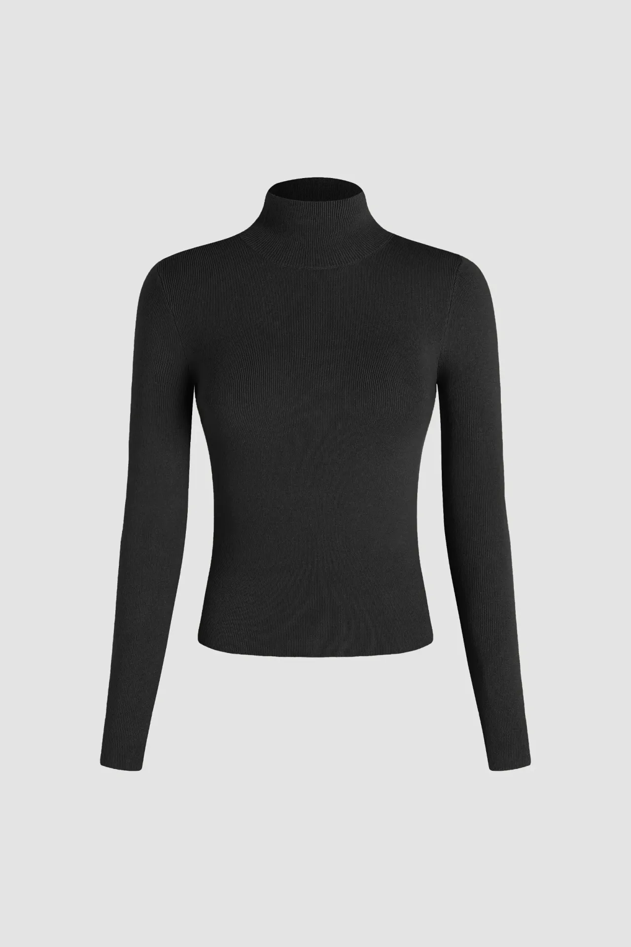 Slim Fit Turtleneck Sweater