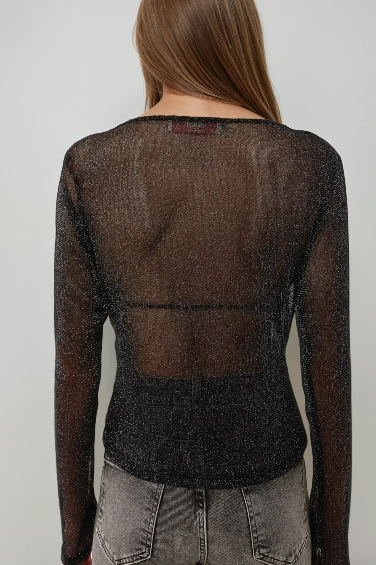 Glitter Long Sleeve Transparent Top