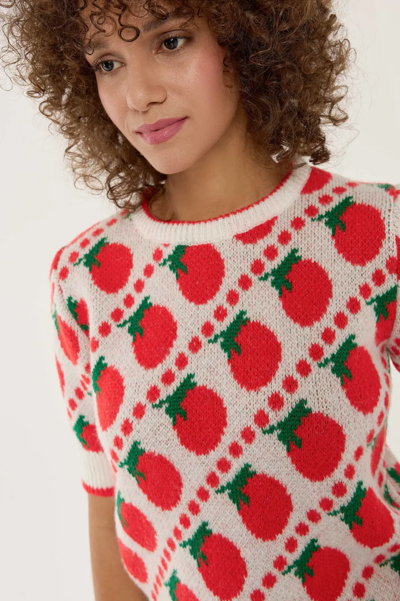 Patterned Short Sleeve Knit Sweater