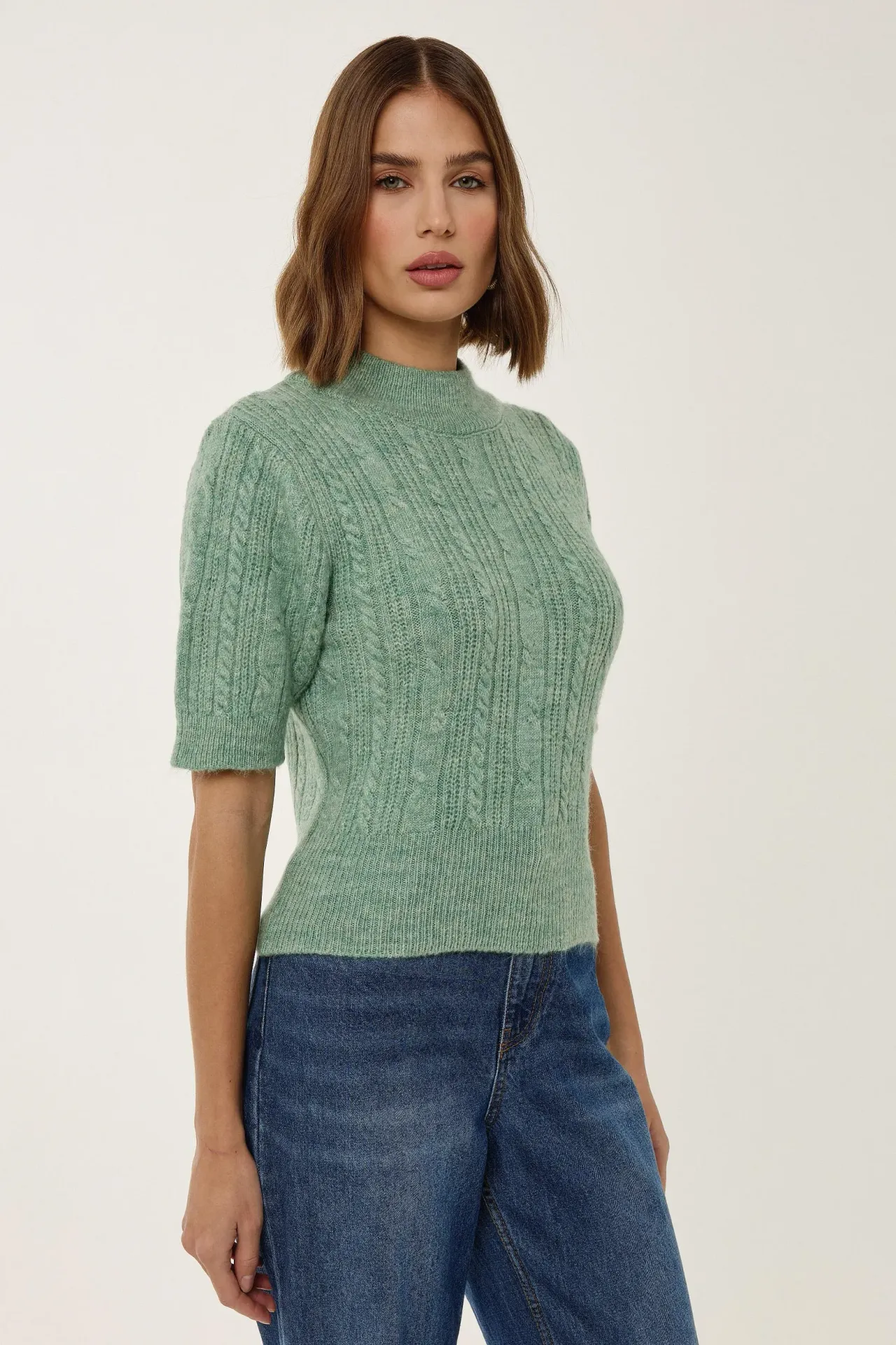 Short Sleeve Half Turtleneck Hair Braid Knit Sweater