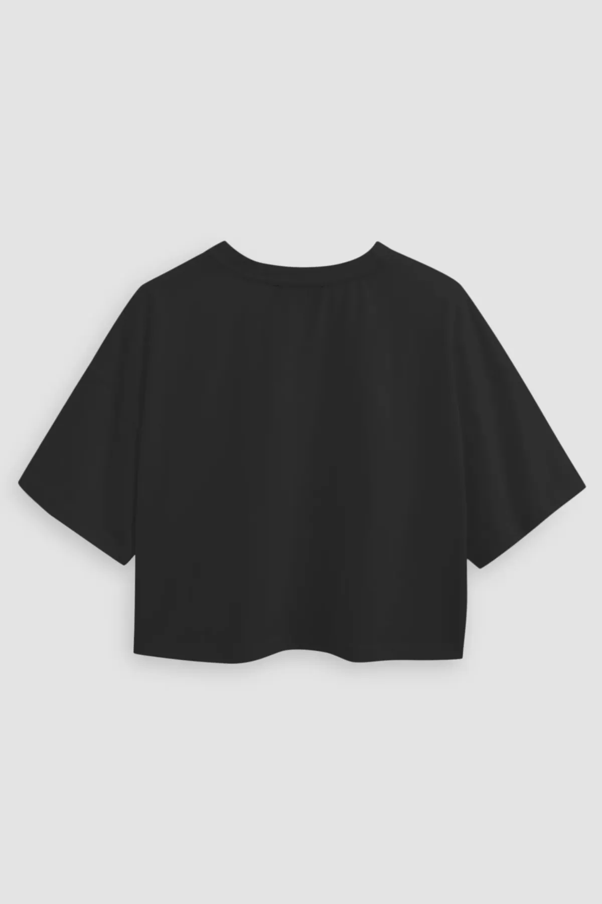 Basic Crew Neck Crop T-Shirt 2