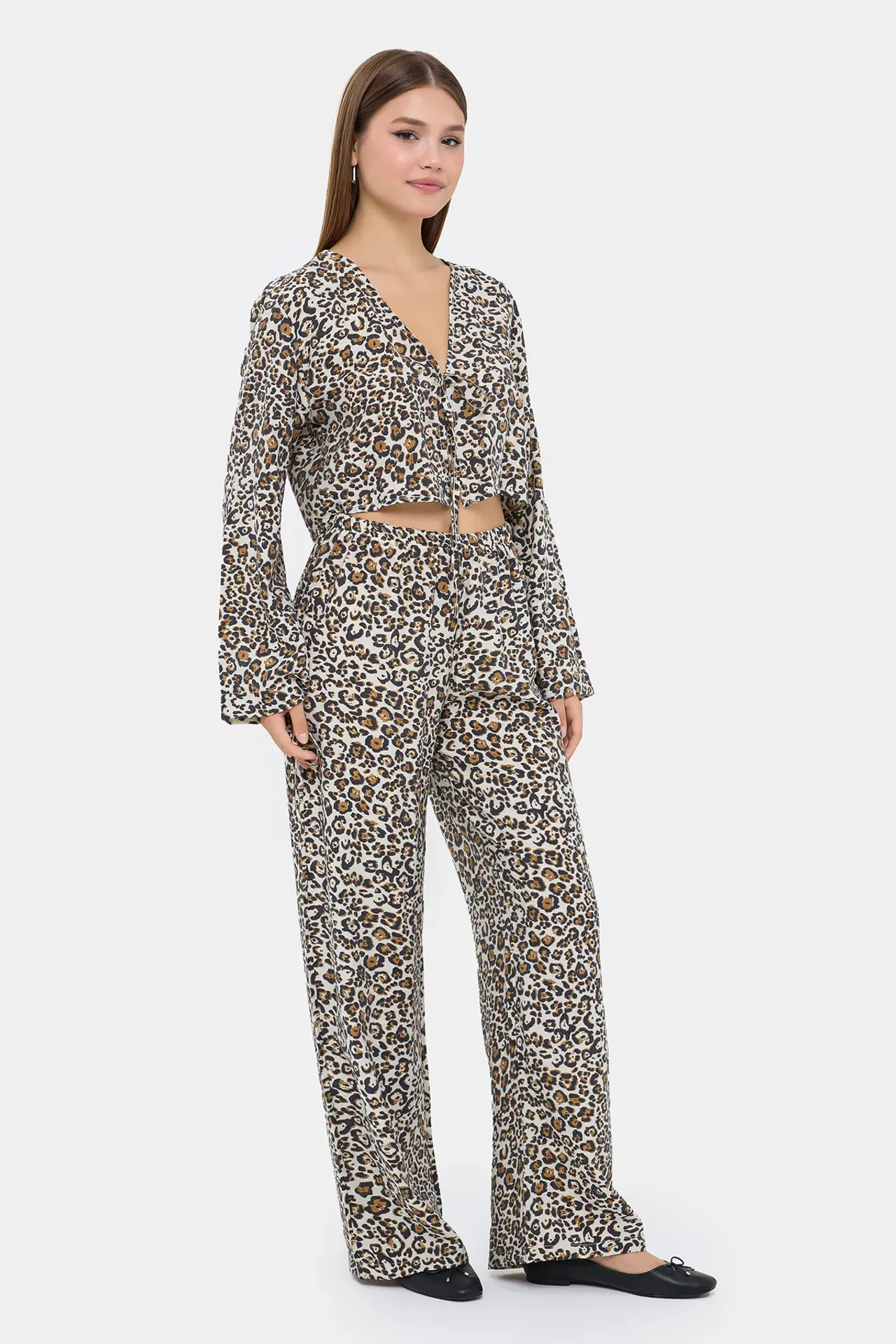 Animal Print V-Neck High Waist Co-ord Set