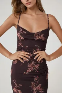 brown-image-2