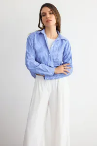 blue-image-1