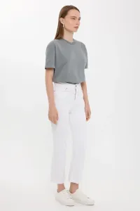 grey-image-2