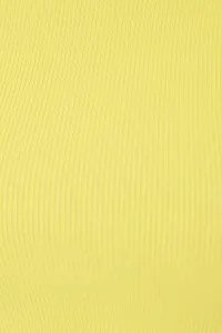 yellow-image-4