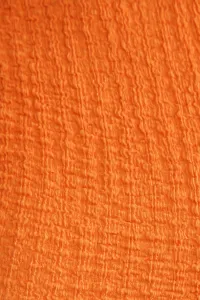orange-image-3