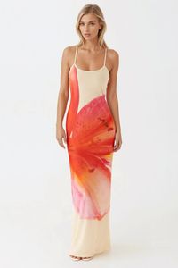 multicolor-image-2