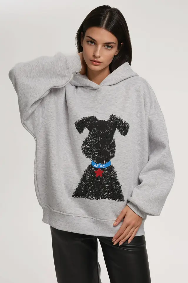 Oversized Printed Hooded Sweatshirt