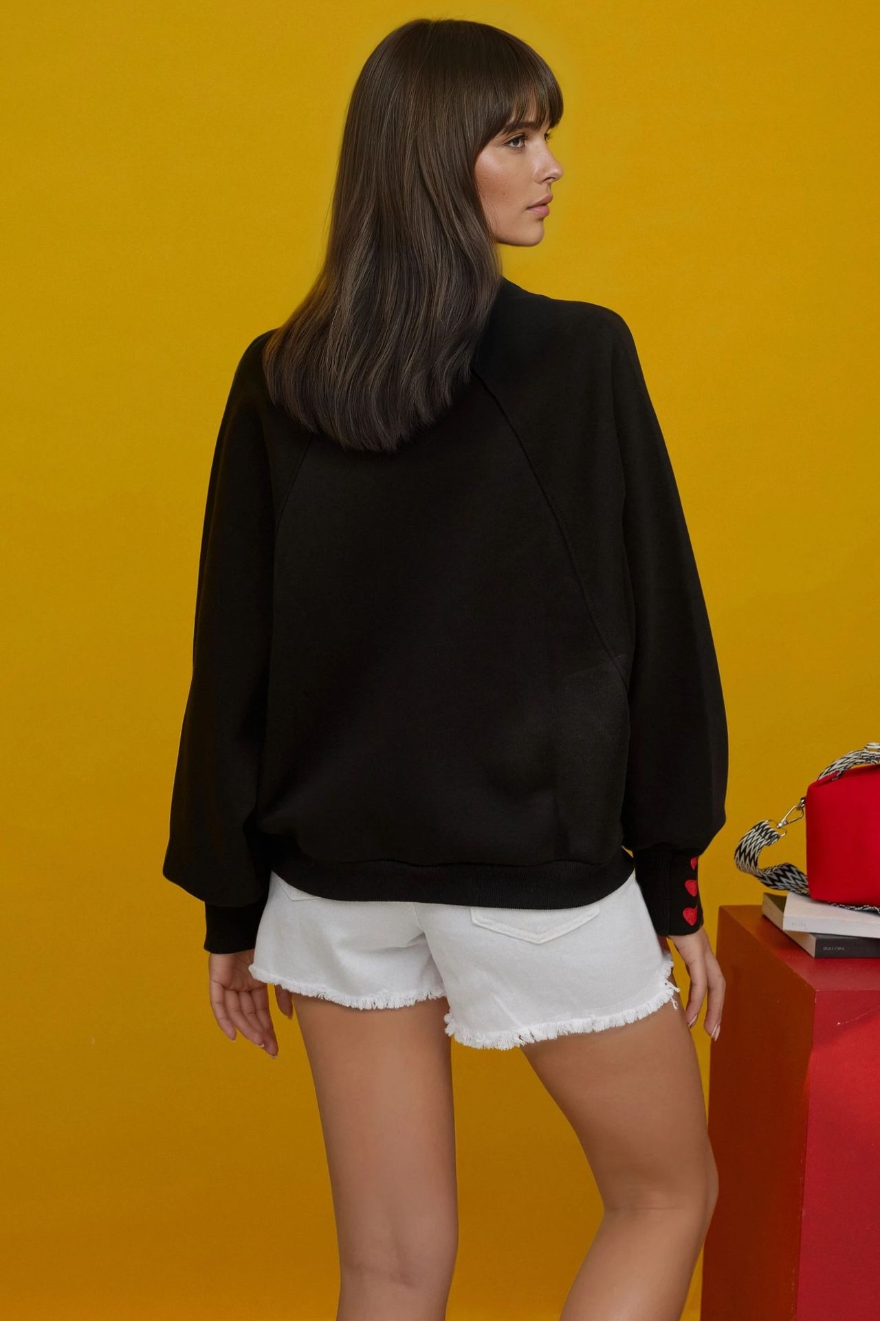 Embroidered Cotton Sweatshirt