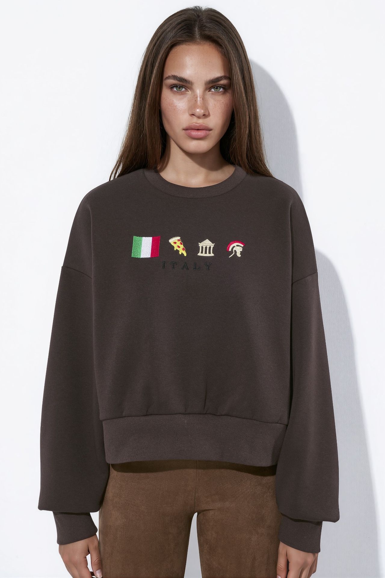 Embroidered Relaxed Fit Sweatshirt 6