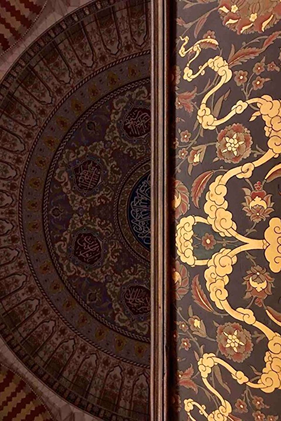 z**** k